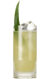 Hendrick's Gin Amazonia Fizz Cocktail