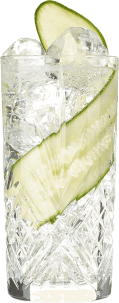 Hendrick's Gin Neptunia & Tonic Cocktail