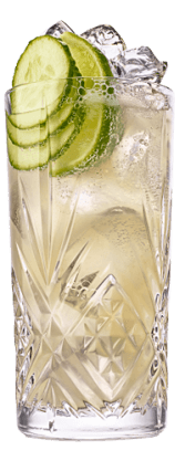 Hendrick's Gin Mule cocktail