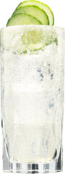 Hendrick's Gin Neptunia Gin Cocktail