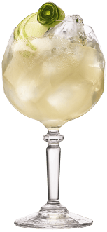 Orchard Collins cocktail made with Hendrick's Gin